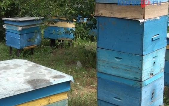 Щигровские пчеловоды получили поддержку от Курского областного суда