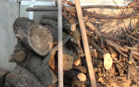 В Курске заготавливают дрова для участников СВО