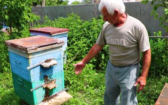 Межведомственная комиссия проводит проверку по факту массовой гибели пчёл в Липецкой области