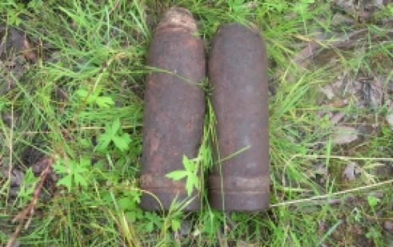 В Курской области обезвредили два артиллерийских снаряда