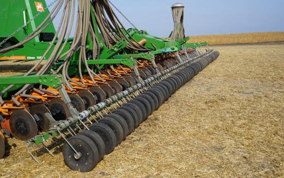 Курская область заняла первое место по сбору зерновых в ЦФО