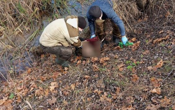 В Курской области обнаружено тело утонувшей 82-летней женщины