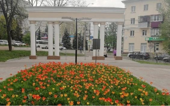 Курск украсили тысячами тюльпанов