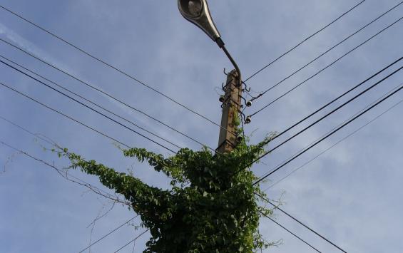 В Железнодорожном округе Курска срезают незаконные провода