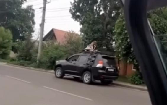 Женщину, прокатившую детей на крыше автомобиля, ждет ряд проверок
