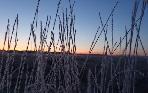 В Курской области ночью похолодает до 4 градусов мороза