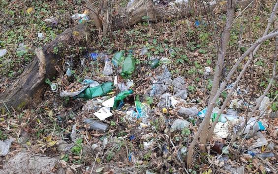 На реке Сейм и Тускарь трое взрослых и ребенок из Курска собрали 141 мешок мусора