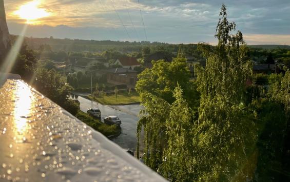 Жителей Курской области 25 апреля ожидает потепление до 25 градусов