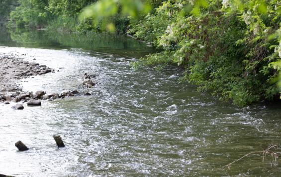 В Курске 15 июля в реке Сейм утонули двое мужчин