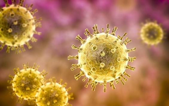 Российские учёные разработали метод измерения количества вируса герпеса в организме