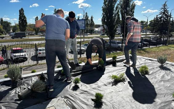 В Курской области более 1,5 тысячи человек приняли участие в экосубботнике «Зелёная Россия»