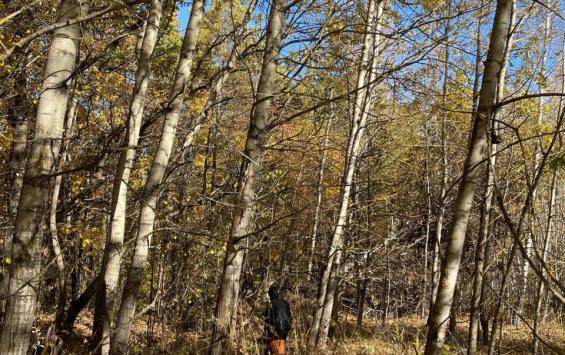 В Курской области подвели итоги пожароопасного сезона и оштрафовали нарушителей на 190 тысяч рублей