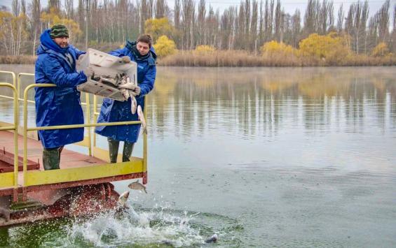 Курская АЭС выпустила во водоем-охладитель 4 тонны рыбы для естественной очистки воды
