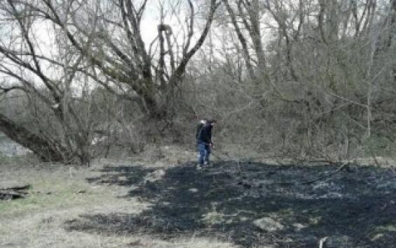Курские школьники предотвратили серьёзный пожар в лесу