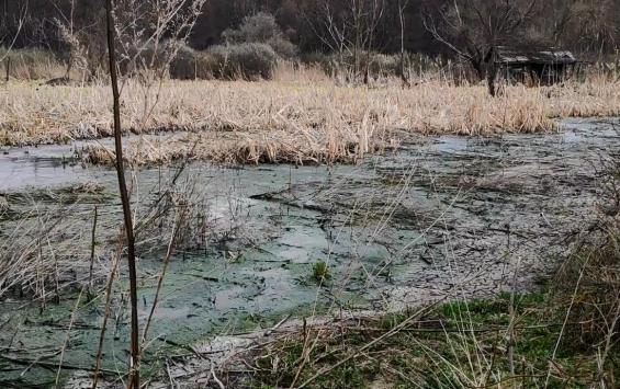 Как курская колония загрязняет Косиново своей канализацией