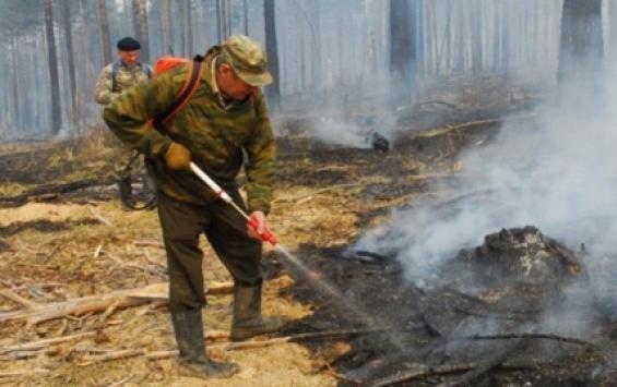 В Курской области начали готовить лесных пожарных