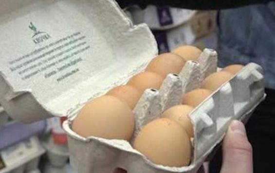 Курян учат правильно выбирать яйца