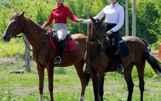 В Курске пройдут соревнования по конному спорту