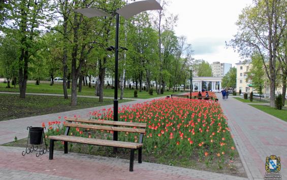 В парке Дзержинского прошёл разноплановый творческий вернисаж