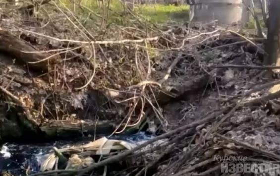 С загрязнением ручья под Курском разбираются в департаменте экобезопасности
