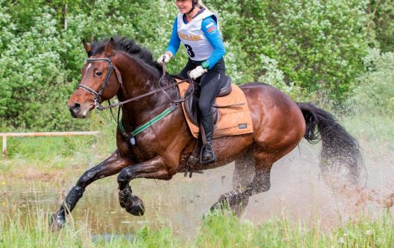 Курские конники завоевали золото чемпионата Москвы по троеборью