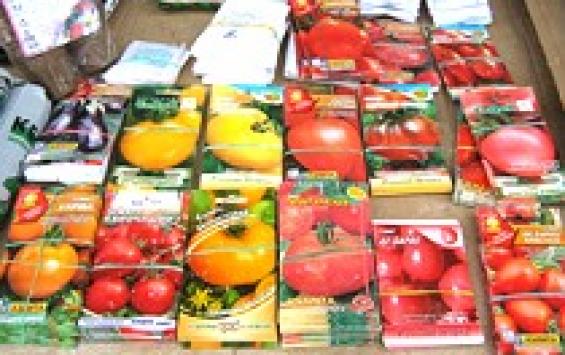 В Курске изъяли сорок партий потенциально опасных овощных семян