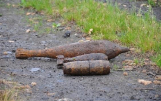 На месте проведения акции «Вахта Памяти 2019» нашли мины, бомбы и гранаты