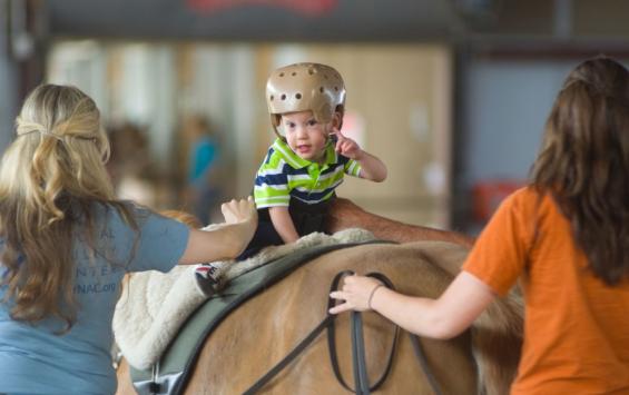 Курская конноспортивная школа ищет лошадь для занятий иппотерапией