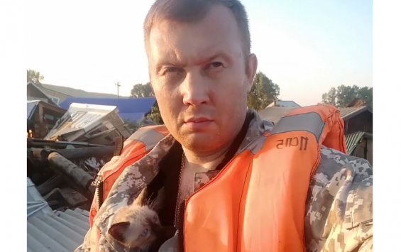 В сети появилось видео Иркутского «ноева ковчега»