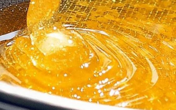 Мёд нового урожая заподозрили в токсичности