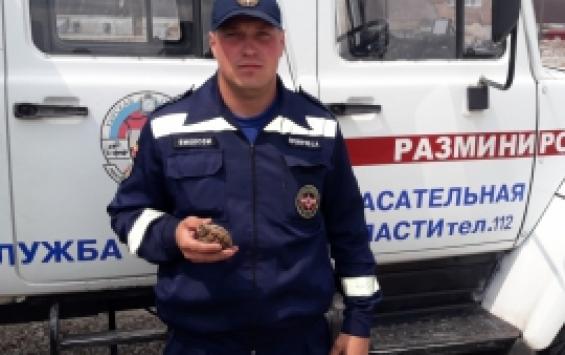 Спасатели предотвратили взрыв в посёлке под Курском