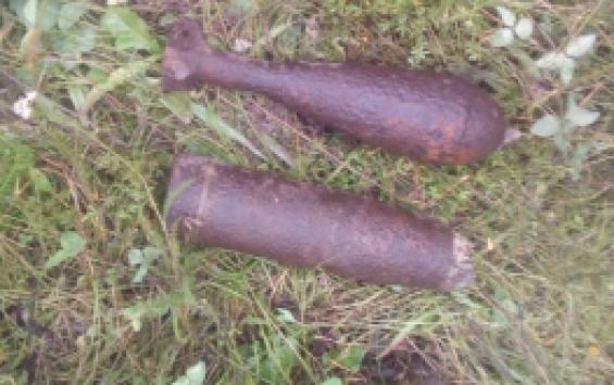 В Курской области найдены неразорвавшиеся снаряды