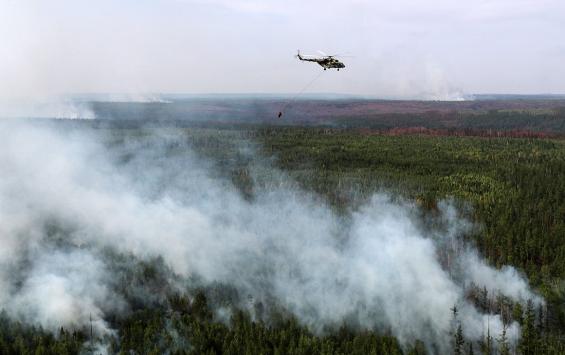 Площадь лесных пожаров в Сибири сократилась