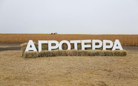 В Курской области прошёл день поля, посвящённый производству сои