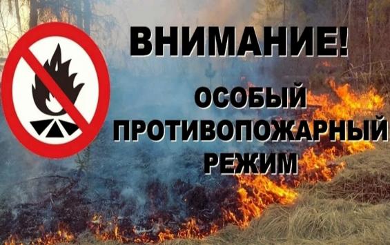 В Курске резко увеличилось количество пожаров