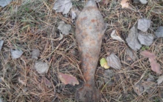 В Курской области обезвредили две мины и артснаряд