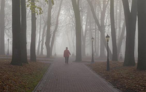 Курским автомобилистам предложили лучший способ езды в окутавшем регион тумане