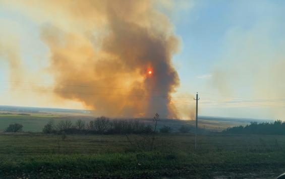 В Курской области горит поле