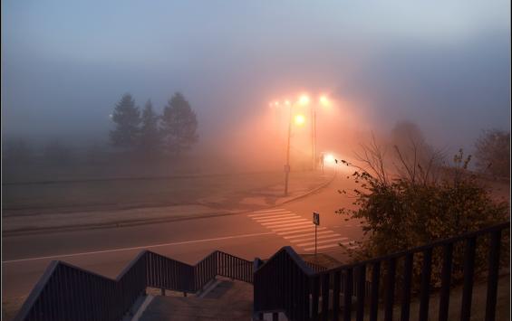 Курских автомобилистов просят учитывать сильный туман