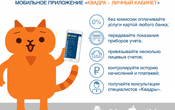 Котик «Квадра – Курск» предлагает мобильное приложение «Личный кабинет»