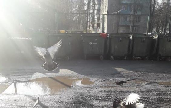 Площадка для сбора ТКО в Курске утопает в грязи
