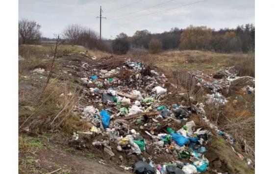 В Кореневском районе Курской области растёт незаконный мусорный полигон