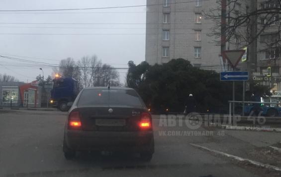 Куряне обнаружили главную новогоднюю ёлку Курска (ВИДЕО)