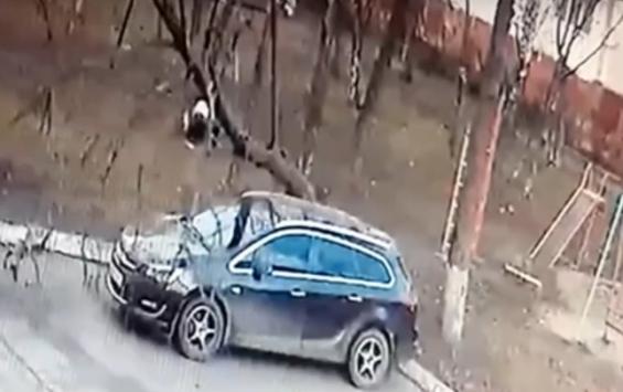 В центре Курска дерево расплющило автомобиль на стоянке