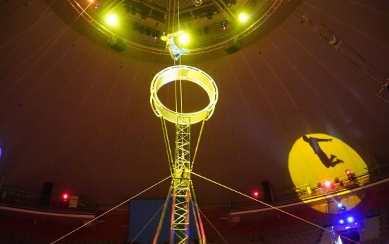 В Курске начинается новая программа «Звезды мирового цирка»