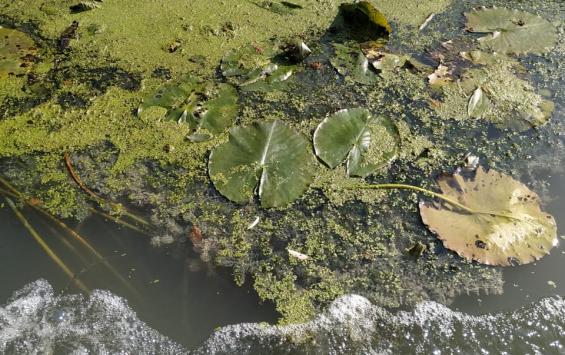 В трагедии на реке Сейм «Экотекс» не виноват