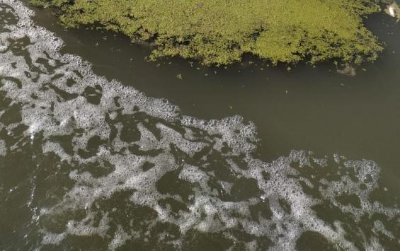 Проблемы курских рек продолжаются, или нефтепродукты в Тускари