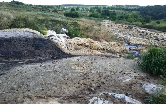 Курские общественники очистили от мусора 1,5 гектара леса