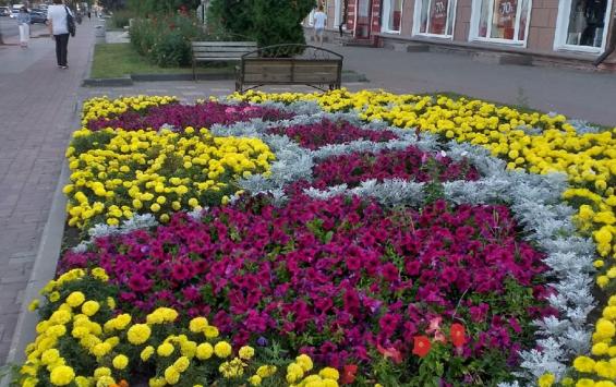 В Курске городские цветники готовят к зиме