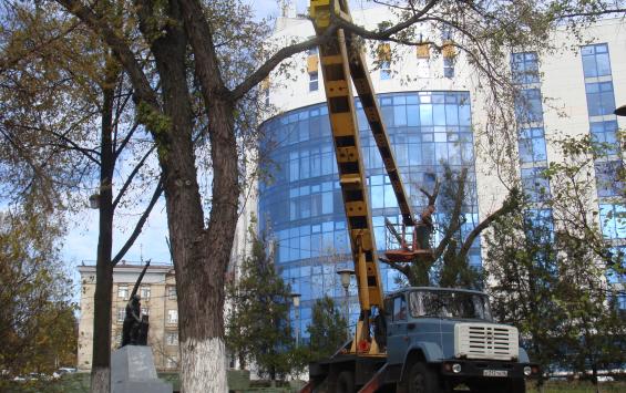 В Курске «Спутник» очистили от деревьев